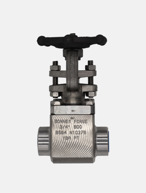 Check Valves Valves Unlimited, Inc.